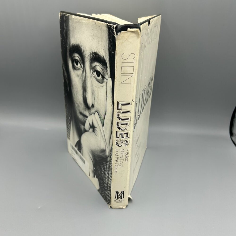 Ludes by Benjamin Stein Hardcover Novel w Dust Jacket 1982 - Picture 6 of 6